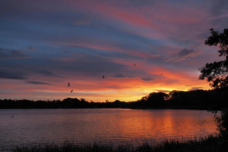 For a peaceful lakeside cruise in the car, the Lough Neagh Drive is ideal. This route loops around Lough Neagh, the largest freshwater lake in the UK, offering stunning views over the water and the surrounding countryside. As an added bonus, drivers get to visit five of Northern Ireland’s six counties along the way. With plenty of quiet spots to park, it's the perfect opportunity to snap a picture of your car with the stunning lake and countryside in the background. Whether it's a sunset shot or a crisp, clear day, this drive is a must for anyone looking to make their car stand out. Find out more about Lough Neagh here: discoverloughneagh.com