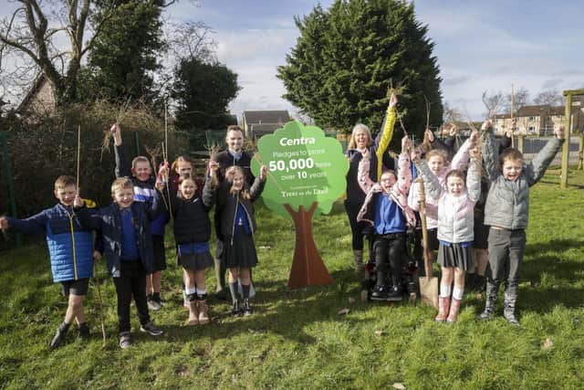 Pupils from Bocombra PS receive 100 trees from Centra &amp; Trees on the Land