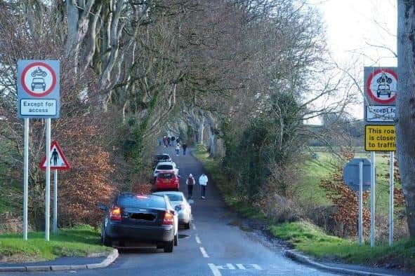 Cars parked at the Dark Hedges