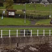 Carnfunnock Country Park. Photo by: Local Democracy Reporting Service