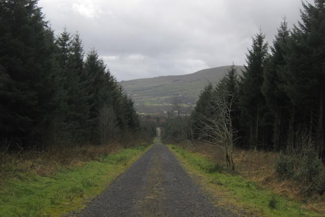 These woods on the slopes of Mullaghmore Mountain on the edge of the Sperrins offers a variety of trails and challenges for the intrepid walker.
The short and medium circular trails lead you through conifer forest to the lower slopes of Mullaghmore.
If you’re looking for more of a challenge, however, feel free to tackle the longer Eagle’s Rock trail through conifer and deciduous trees, culminating at the impressive rock face of Craig-na-shoke and impressive views of Northern Ireland’s largest mountain range behind the Mournes.