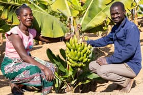 Loshas Munthali and his wife Florence in their banana plantation in northern Malawi, irrigated with a solar-powered water pump he bought after receiving help from Christian Aid’s local partner. Credit: Malumbo Simwaka/Christian Aid