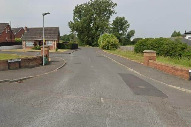 The attempted burglarly took place within the vicinity of Wentworth Green, Portadown. Picture: Google