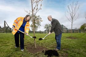 Cllr Thomas Beckett, Chair of Communities and Wellbeing Committee, Lisburn and Castlereagh City Council, joins Helen Halliday, Senior Programme Manager, Translink, to plant maple trees at Wallace Park in Lisburn to mark the conclusion of the major Lisburn Area Renewals (LAR) project. Pic credit: McAuley Multimedia