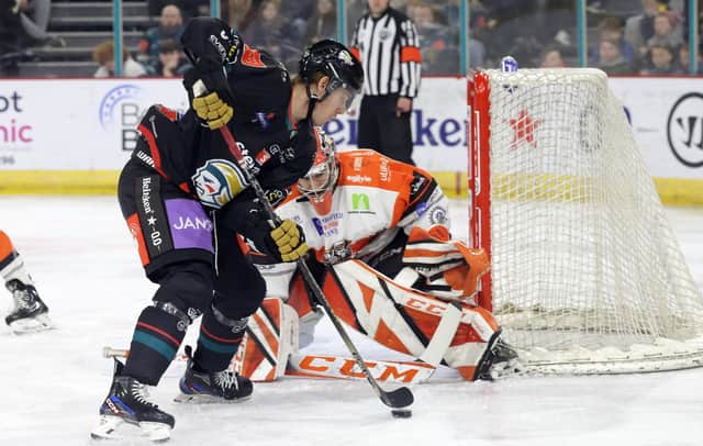 Belfast Giants’ Henrik Eriksson with Sheffield Steelers’ Matthew Greenfield during Saturday’s Elite Ice Hockey League game at the SSE Arena, Belfast.   Photo by William Cherry/Presseye