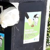 Failure to pick up and deposit dog foul in a bin could result in a fixed penalty of £80. Photo by: Local Democracy Reporting Service