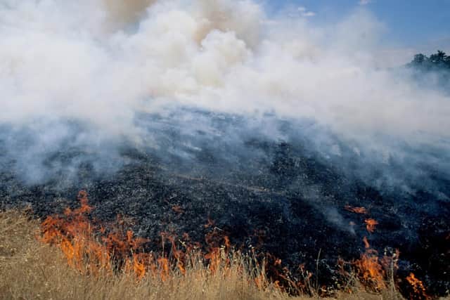 NI Water is warning of an increased risk for potential wildfires to spread. Photo and video issued by NI Water
