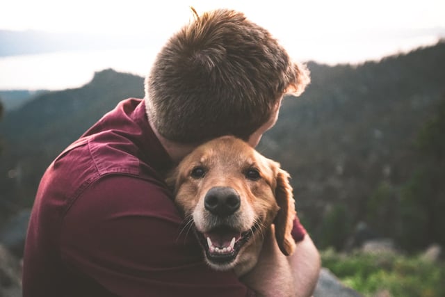 Although you may want to give your dog a big hug to show how much you love them, sadly dogs don’t share our love of hugs. In fact, to your dog, a hug can feel like they are being trapped and cause them to become uncomfortable or fearful. It’s particularly important to teach children the right way to show affection to your dog.