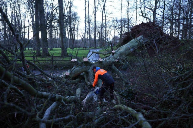 Workers at Massereene Golf Club begin clearing away a fallen tree on the Lough Road, Antrim.