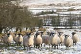 A new weather warning is in place in Northern Ireland as freezing temperatures cause chaos across the UK. Picture: Stephen Davison / Pacemaker
