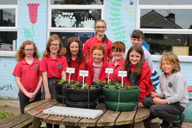 Children from DH Christie Primary School very pleased with the hanging baskets they made up for display in Coleraine’s town centre. Credit CCGB Council