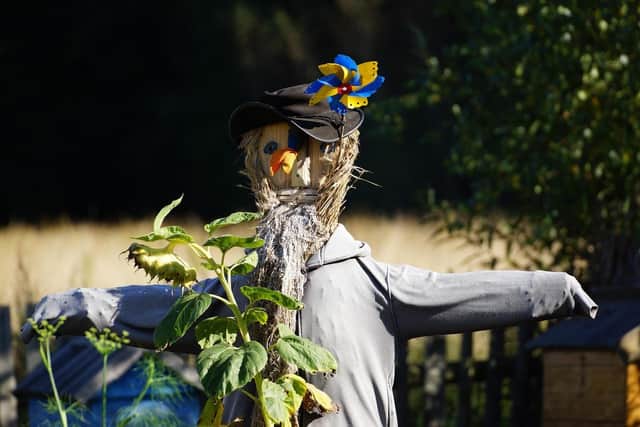 Primary schools are being invited to enter the Really Rubbish Scarecrow competition at the Garden Show Ireland this June. Photo: mw85 from Pixabay