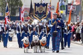 Sam Dickson and his marching Akitas leading the Constable Anderson Memorial Flute Band during the Twelfth demonstration in Larne in 2021. Picture: Stephen Davison.