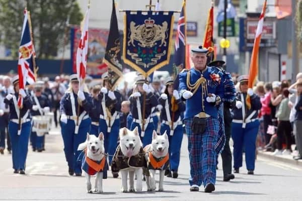 Sam Dickson and his marching Akitas leading the Constable Anderson Memorial Flute Band during the Twelfth demonstration in Larne in 2021. Picture: Stephen Davison.