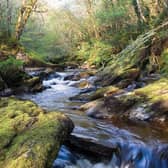 Tucked away just outside Derry / Londonderry, Ness Wood is quietly home to the highest waterfall in Northern Ireland, yet it somehow remains one of the country’s best-kept secrets. The woodland trails here are lush, winding through ancient trees, mossy gorges, and peaceful glades where you’re more likely to meet a red squirrel than another walker. Halfway along the route lies a small, arched stone bridge that feels like something out of Lord of the Rings, a little slice of Rivendell hidden in the Sperrins. It’s a place that invites you to slow down, look up, and wonder how on earth it’s stayed off the radar for so long.