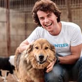 Why not make your New Year resolution to help out as an animal charity volunteer (photo: Adobe)