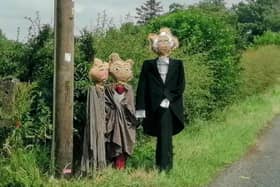 Have you spotted the Aghadowey Spud-Crows yet? Credit: Paul Mullan