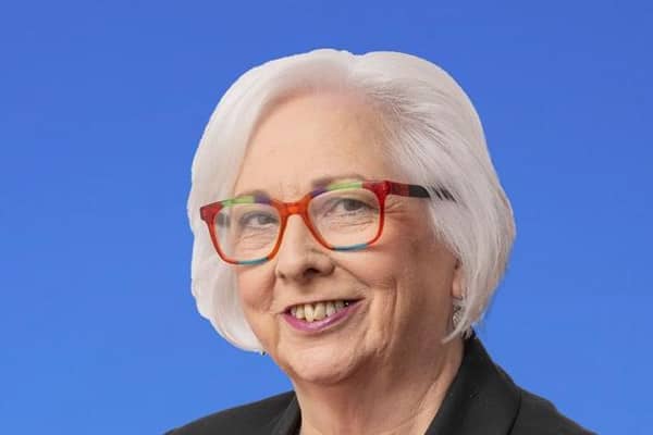 Alderman Hazel Legge asks for clarity to allay concerns of local residents as RAF is granted permission to train cadets in drone flying at local park. Pic credit: McAuley Multimedia