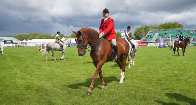 Animals and agriculture will remain at the heart of the Show and visitors can expect to see over 3,900 head of livestock across the highly competitive classes. Photo: Aaron McCracken Photography
