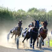 A new harness racing season is about to start at Annaghmore Raceway.  Picture: Chloe Nelson Photography