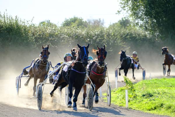 A new harness racing season is about to start at Annaghmore Raceway.  Picture: Chloe Nelson Photography