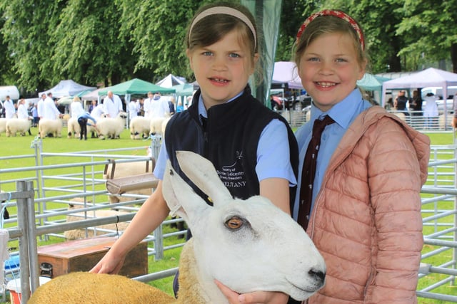 Twins Charlotte and Lily Boyd, Augher, with their Border Leicester sheep.