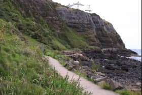DAERA says no evidence of water-borne toxic plants such as hemlock water dropwort was found on the beach at Blackhead. Photo: National World
