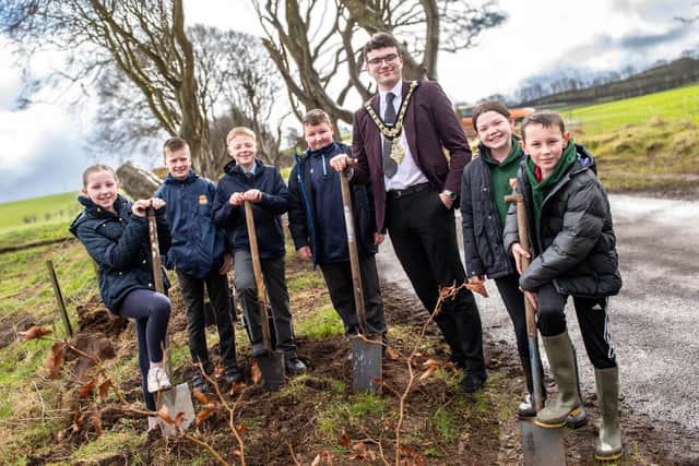 Pupils from Armoy Primary School (Armoy), Bushvalley Primary School (Stranocum) and St Olcan’s Primary School (Armoy) with Causeway Coast and Glens Mayor Ciarán McQuillan prepare to plant trees to mark the announcement of the Causeway Coast & Glens Heritage Trust’s new arrangements as custodian of the Dark Hedges site. CREDIT CCGHT