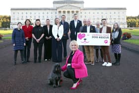 Natalie Harney, NaturewatchUK; Dr Paula Boyden BVetMed MRCVS, Chair The Links Group and Veterinary Director Dogs Trust; Dr Andrea Lynch The Links Group; Demi Mullan Legal Advisor ROI; Dr Tara Quinn CPsychol AFBOsS HCPC Reg; Peter Laurie CEO Battersea Dog and Cats Homes; Scott Fryer, Policy Battersea Dog and Cats Homes; Mark Randell Naturewatch UK; Adam Clowes Dogs Trust UK; Karen Reed Dogs Trust International; Conor OKane Dogs Trust NI; Professor Carri WestGarth Merseyside Dog Safety Partnership; Tara Cunningham CCDR Manager and host of CCDR Collaboration Conference and Archie! CREDIT STEPHEN DAVISON