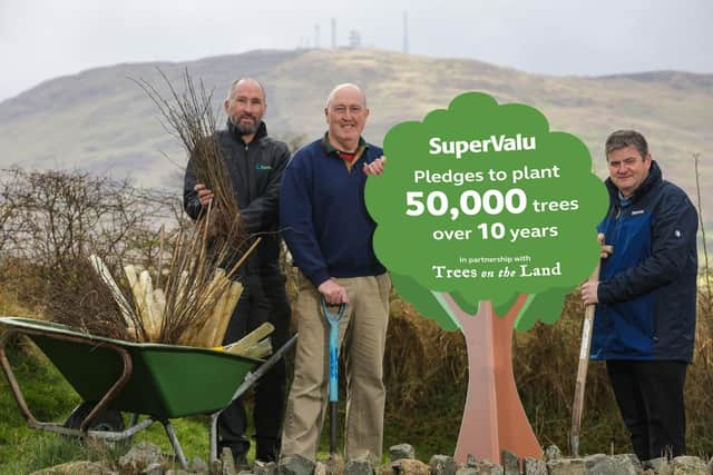 Frank McPolin, manager of Carlisle’s SuperValu in Ballynahinch (right) and colleague Alan McKibben (left) visit Declan McCann on his small holding in Dromara, who has received 275 trees from SuperValu’s partnership with Trees on the Land.