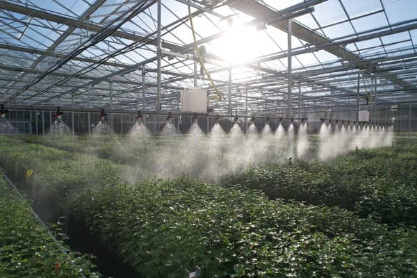 Akre delivered more than 1100 hectares of new native woodland in 2023 - 2024 – outstripping the 430 hectares planted in Northern Ireland