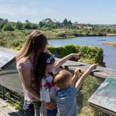 There's lots for all the family to enjoy at WWT Castle Espie