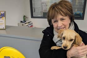 ​Diane Dodds MLA at the Dogs Trust centre.