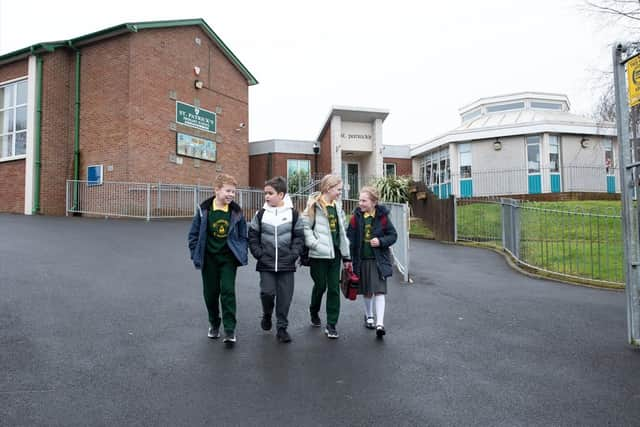 Pupils from St Patrick's Primary School, Aghacommon, Derrymacash near Lurgan, Co Armagh.