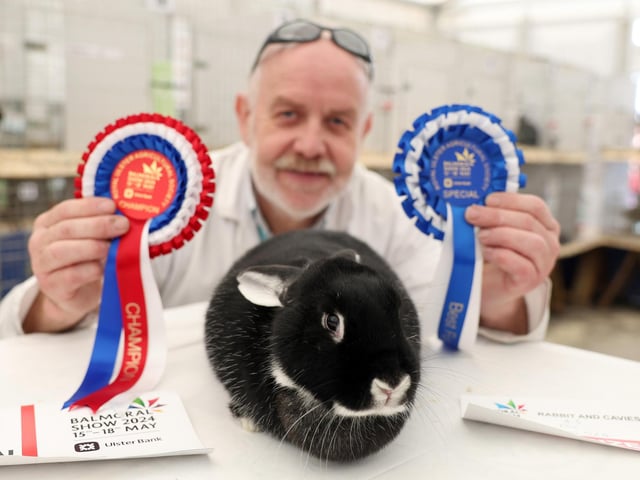 Jimmy Gordon with his Superior Champion Black Silver Fox rabbit.