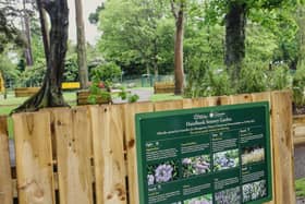 Hazelbank sensory garden in Newtownabbey