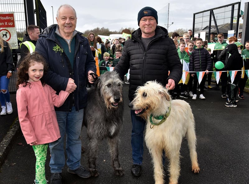 You can't have a St Patrick's Day parade without an Irish Wolfhound and St Paul's GAC had two in the shape of Scolan and Niamh. Pictured with the giant dogs are from left, Ava O'Neill (7), Paul Martin and William Mullen. LM12-211.