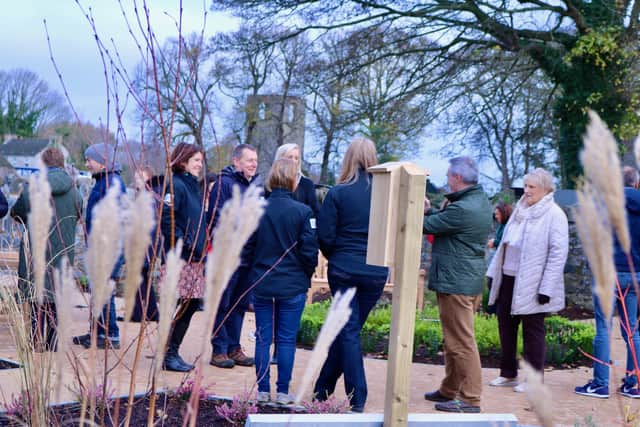 Enjoying the new garden in Magheralin.