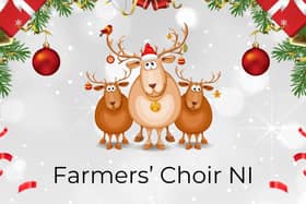 The Farmers’ Choir Northern Ireland are busy preparing for their annual Christmas Concert which will be held on Thursday, December 14 at 8pm in Ballymena Academy. Credit Farmers' Choir