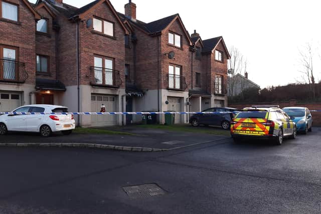 Police and Forensics at the scene of the suspicious death of a woman in Silverwood Green, Lurgan this morning. One man has been arrested on suspicion of murder.