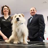Founder of Affinity Veterinary Clinic Rebecca Martin and Ulster Bank Business Development Manager Derick Wilson. Photo by Kelvin Boyes / Press Eye