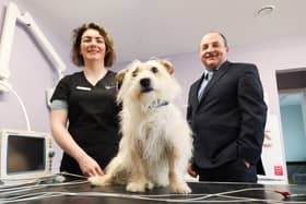 Founder of Affinity Veterinary Clinic Rebecca Martin and Ulster Bank Business Development Manager Derick Wilson. Photo by Kelvin Boyes / Press Eye