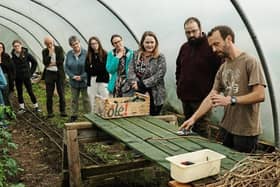 Jubilee Farm in Glynn is hosting a number of wellbeing workshops from January to March 2025.  Photo: Jubilee Farm