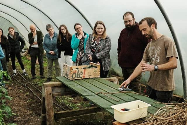 Jubilee Farm in Glynn is hosting a number of wellbeing workshops from January to March 2025. Photo: Jubilee Farm