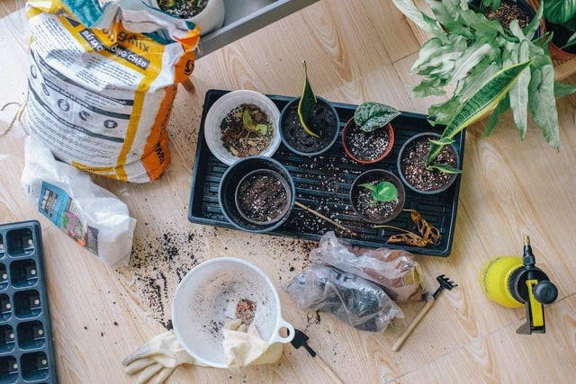Take the spring clean initiative and decorate your home - from small to big tasks, you can head outside and spruce up your garden or patio.
You could even create your own kitchen garden, giving a home to small herb plants or some seasonal vegetables that you can reap the rewards of later in the year.
