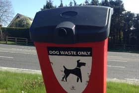 Lisburn and Castlereagh City Council is to consider imposing heavier fines on irresponsible dog owners