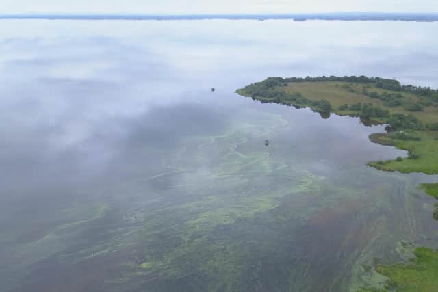 An aerial picture of the western shores of Lough Neagh showing the Blue Green Algae Blooms. Credit: Lough Neagh Rescue