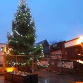 The Christmas tree in Carrick town centre.  Photo: Fiona Boyd