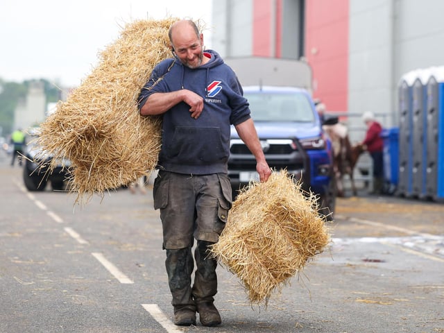Stephen McKeown from Newtownabbey gets on with the job in hand on Tuesday.
