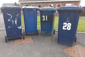 There are changes to bin collection days in the ABC Borough Council area over the Christmas and New Year holidays. Picture: National World.